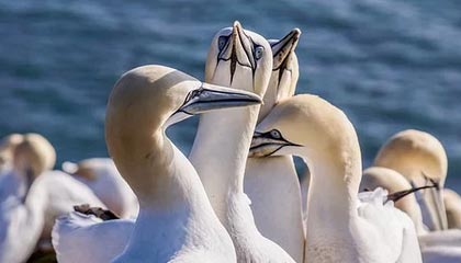 189电影网，1288电影大全