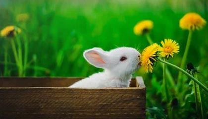 51爆料盘点：热点事件5条亲测有效秘诀，明星上榜理由异常激烈令人刷屏不断