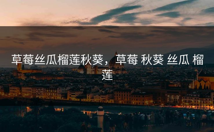 草莓丝瓜榴莲秋葵,草莓 秋葵 丝瓜 榴莲 草莓丝瓜榴莲秋葵,草莓 秋葵 丝瓜 榴莲