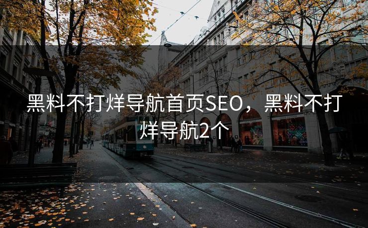 黑料不打烊导航首页SEO，黑料不打烊导航2个