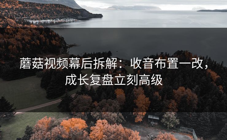蘑菇视频幕后拆解:收音布置一改,成长复盘立刻高级 蘑菇视频幕后拆解:收音布置一改,成长复盘立刻高级