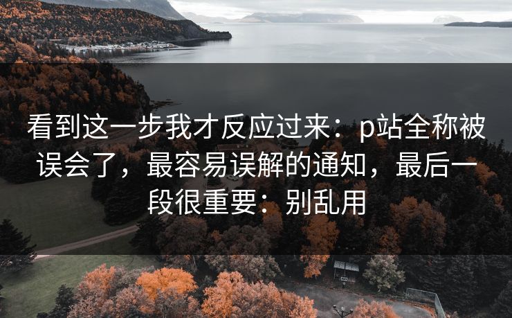 看到这一步我才反应过来:p站全称被误会了,最容易误解的通知,最后一段很重要:别乱用 看到这一步我才反应过来:p站全称被误会了,最容易误解的通知,最后一段很重要:别乱用